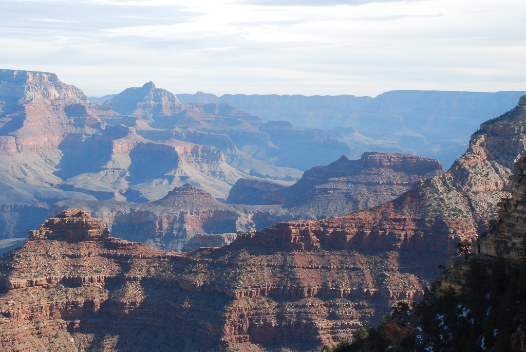 DSC_1771.JPG